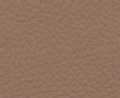 w209 leder 814 cappuccino avantgarde